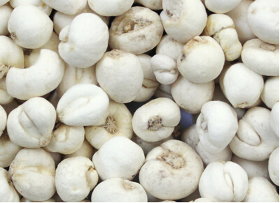 川贝母的配伍应用