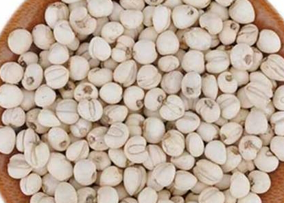 川贝母的药理作用