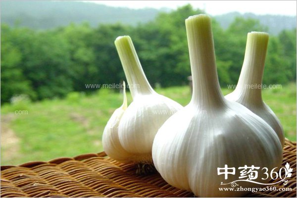 xuetanggaochishenmehao