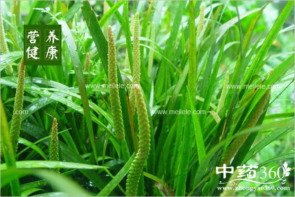 shichangpudefuzuoyong