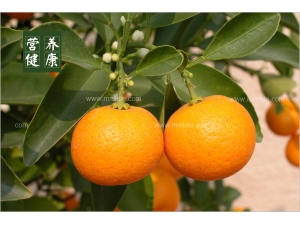 ���̴�����ֵ�Ƕ��� ��ν��͵��̴�