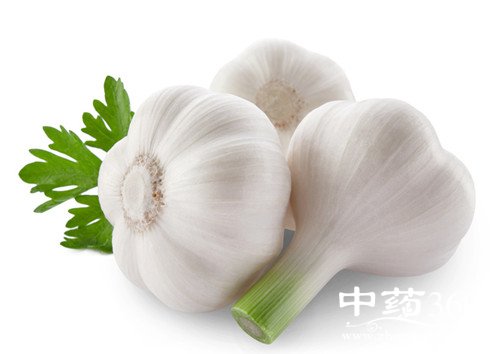 <a href='https://www.zhongyao360.com/z/dasuan/' target='_blank'></a>ˮο