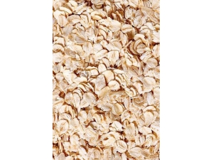 ʳ�ﰲȫ���ݺ��� ���ֳ�������ʳ������