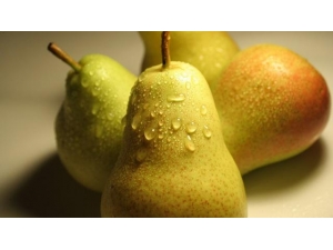 ���������ʲô���أ�