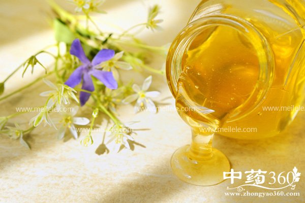 ţ�̿��Լӷ�����