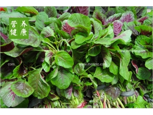 �Ȳ˵�Ӫ����ֵ����Ч �Ȳ˵�������⣡