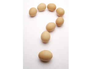 ������������ �������������Խ��Խ��