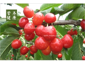 ӣ�ҵĹ�Ч�����ü����� ӣ�ҳԷ�����