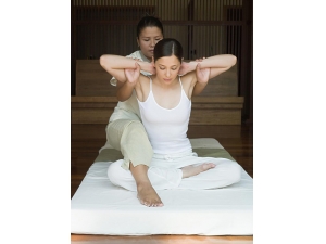 ������ʪ�� ��Ħ���Ѩλ����ȥ��