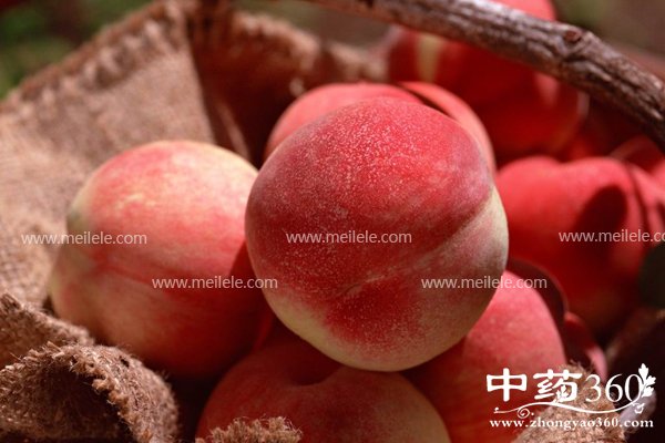 ��������ʲô�ô�