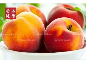 ��������ʲô�ô� ����Ӫ���ɷֽ���