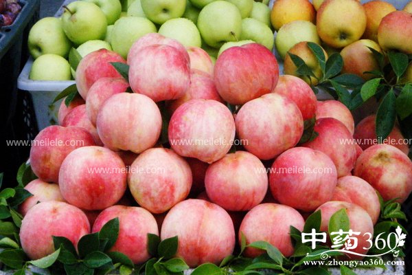 ��������ʲô�ô�