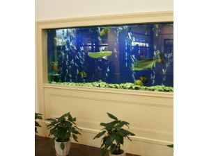 �����е� ������������Ƹ���