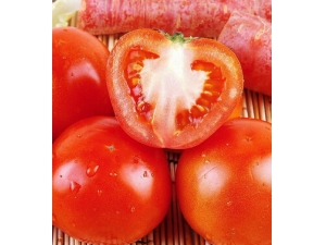 �ƹϺ���������һ����� ��������ע��4Ҫ��