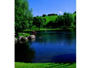 ��ˮ��ʦ ��ע�����շ�ˮ���ɻ��ǻ�