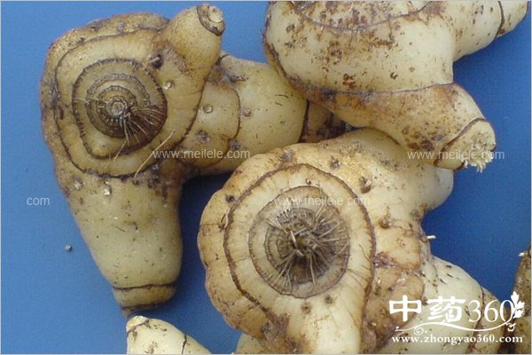 baijidemeironggongxiao