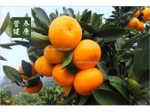 ά����b2�����ü����� ����ά����b2�ķ���