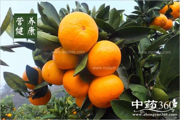 weishengsub2dezuoyong