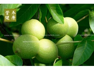 ����Ƥ�Ĺ�Ч������ ����Ƥ��ʹ�÷���