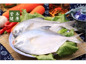 �����Ӫ����ֵ �����ʳ�ù�Чȫ֪����