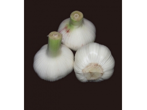 ��ʳ���� ���ܡ������������4����Ⱥ