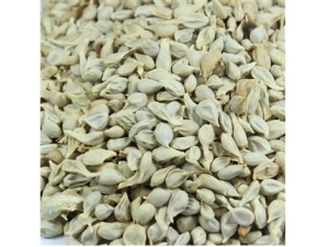 ����ط�������������