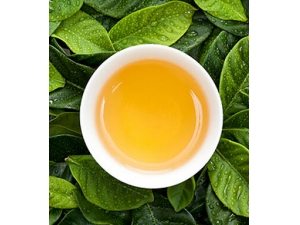 ���ڲ��ܳԵ�ʳ�� ���ڼɿ�15��ʳ��