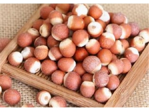 �����ܳ���ʵ�� ��θʳ�׿��ղ�