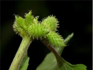 �Զ��ӵ����� ��ô�������㻹��֪��