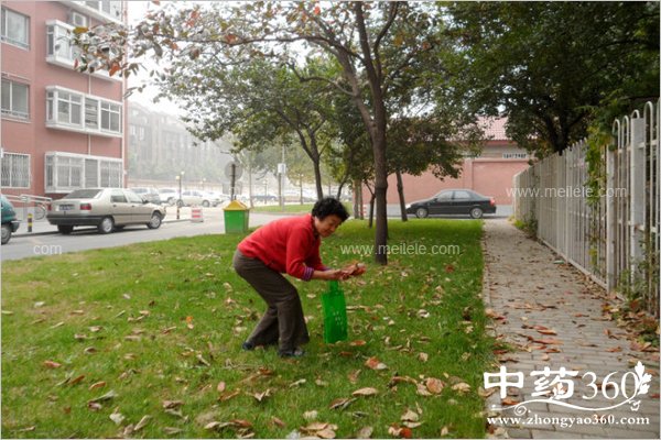 shizidegongxiaoyuzuoyong
