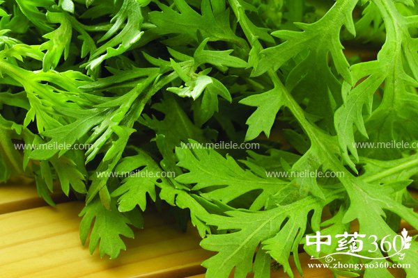 guoshushanshixianwei