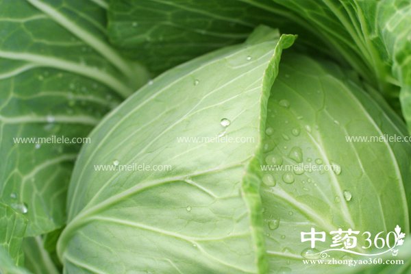 guoshushanshixianwei