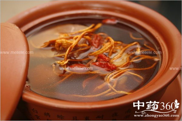 dongchongxiaocaodegongxiaoyuzuoyong