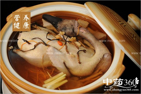 dongchongxiaocaodegongxiaoyuzuoyong