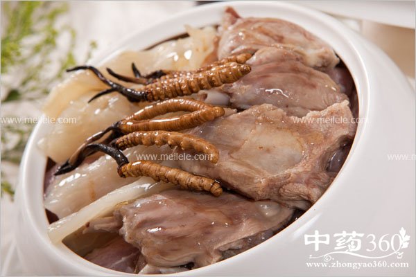 dongchongxiaocaodegongxiaoyuzuoyong