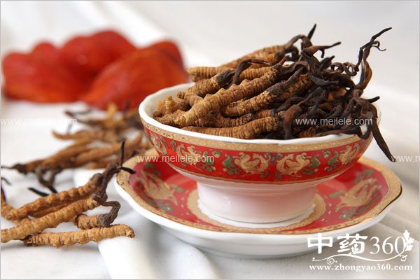 dongchongxiaocaodegongxiaoyuzuoyong