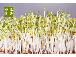 �ƶ�ѿ���̿��Գ��� С��������ƻƶ�ѿ