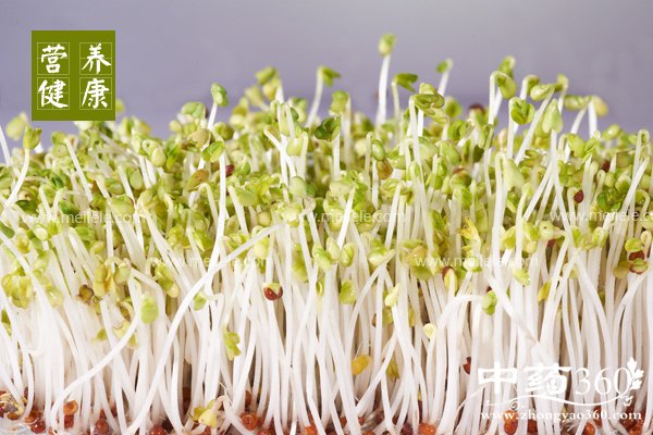 huangdouyabianlvkeyichima