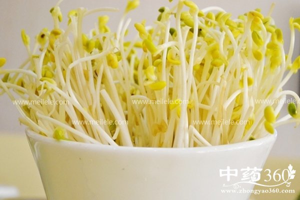 huangdouyabianlvkeyichima