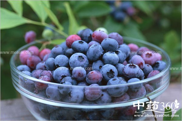 lanmeideyingyangjiazhi