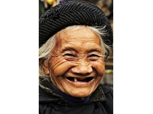 ʳ����������� �̵��������߹�Ч��ʳ��