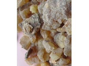 ����Ĺ�Ч������ ҩ�ü�ֵ