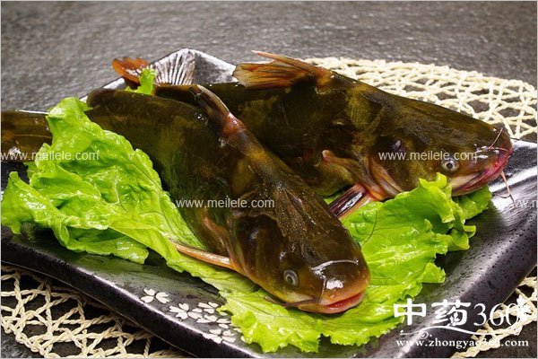 gayudeyingyangjiazhi