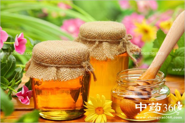 gouqifengmidegongxiao