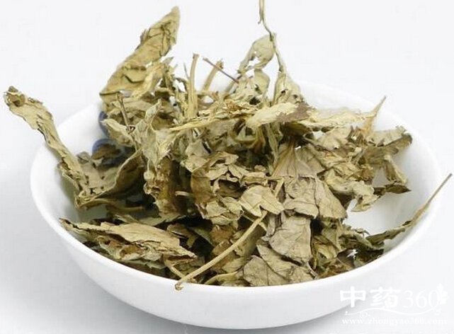 <a href='https://www.zhongyao360.com/z/aiye/' target='_blank'>Ҷ</a>зֹ