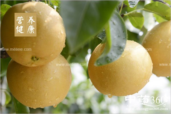 laonianrenbuxuechishenmehao