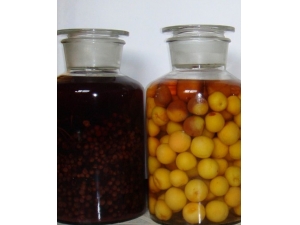 �������ҩ�ƣ���ҩ����ʲô�ƺ�