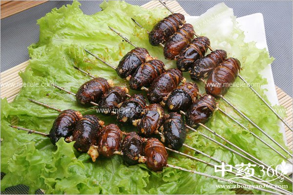 chanyongdeyingyangjiazhi