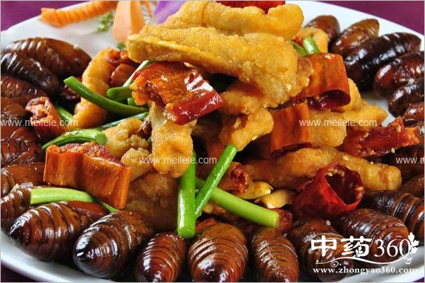 chanyongdeyingyangjiazhi