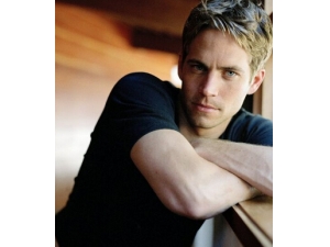 ��ҽ���� �Ŵ��伮��������������